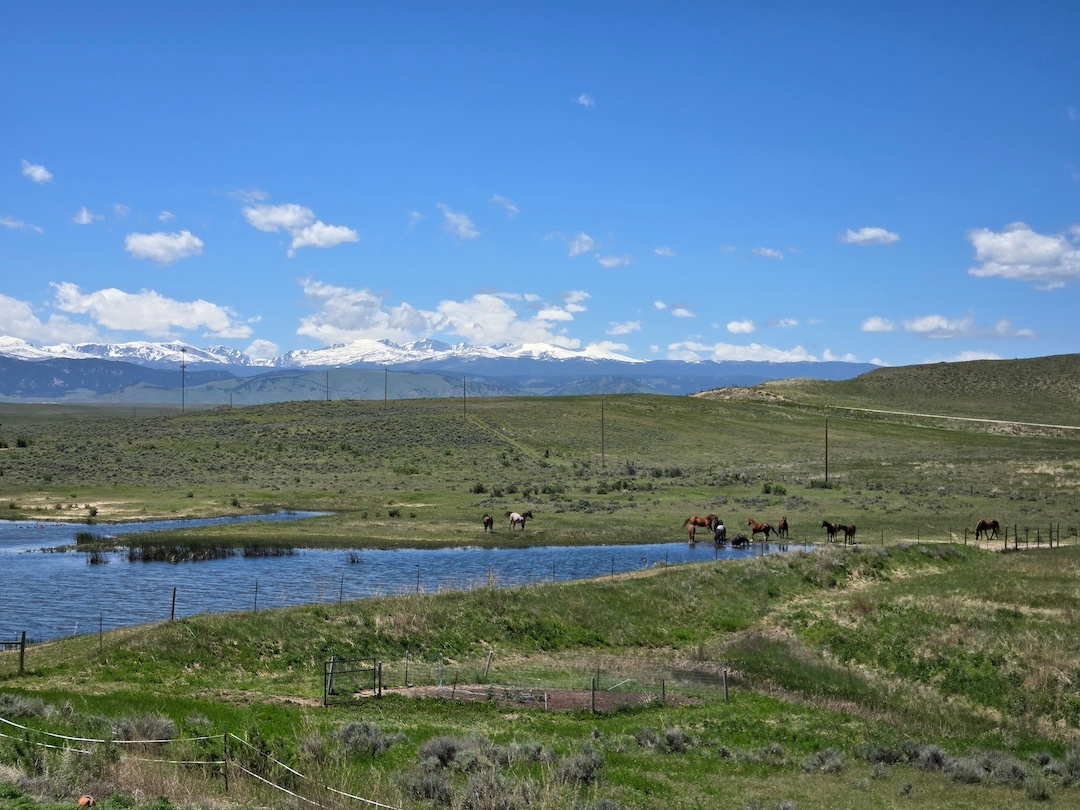 Big Horn View RV Campground, Buffalo, Wyoming