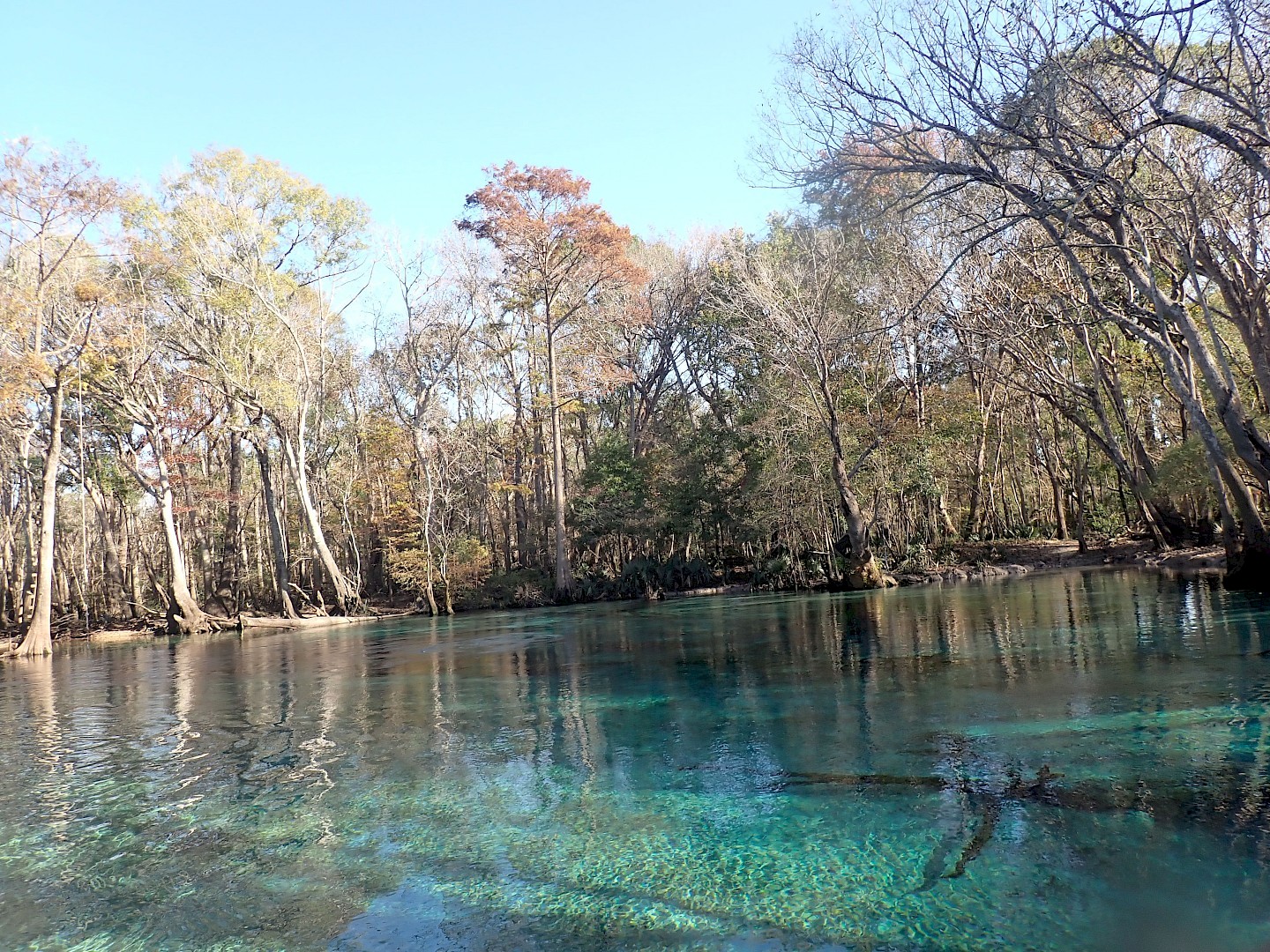 Holmes Creek Camping & RV Resort