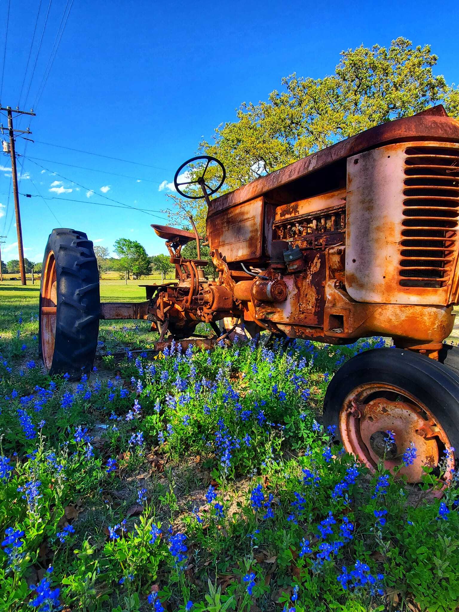 Salmon Lake Park & Resort