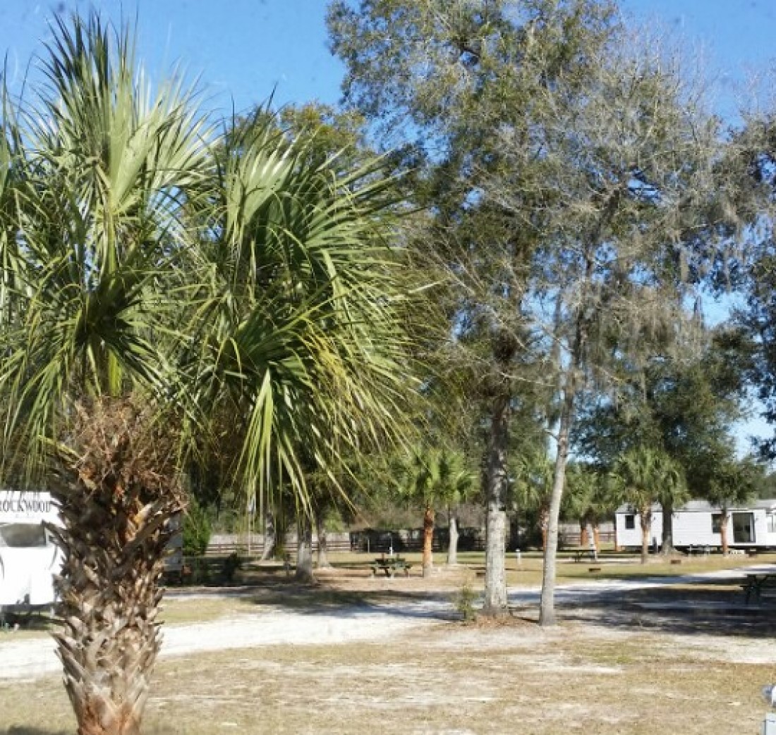 Shady Banks RV Resort