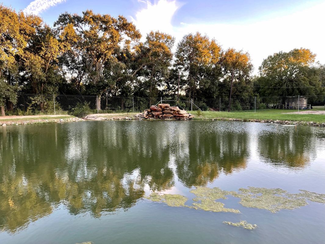 Rolling by the Dozen RV Park