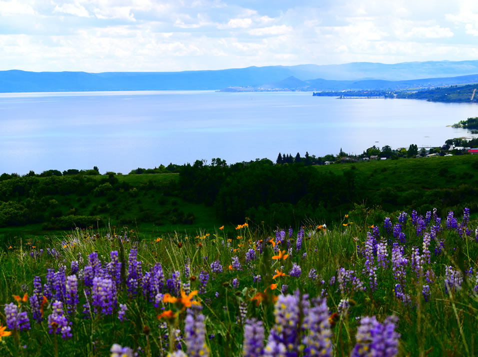 Bear Lake Venture Park