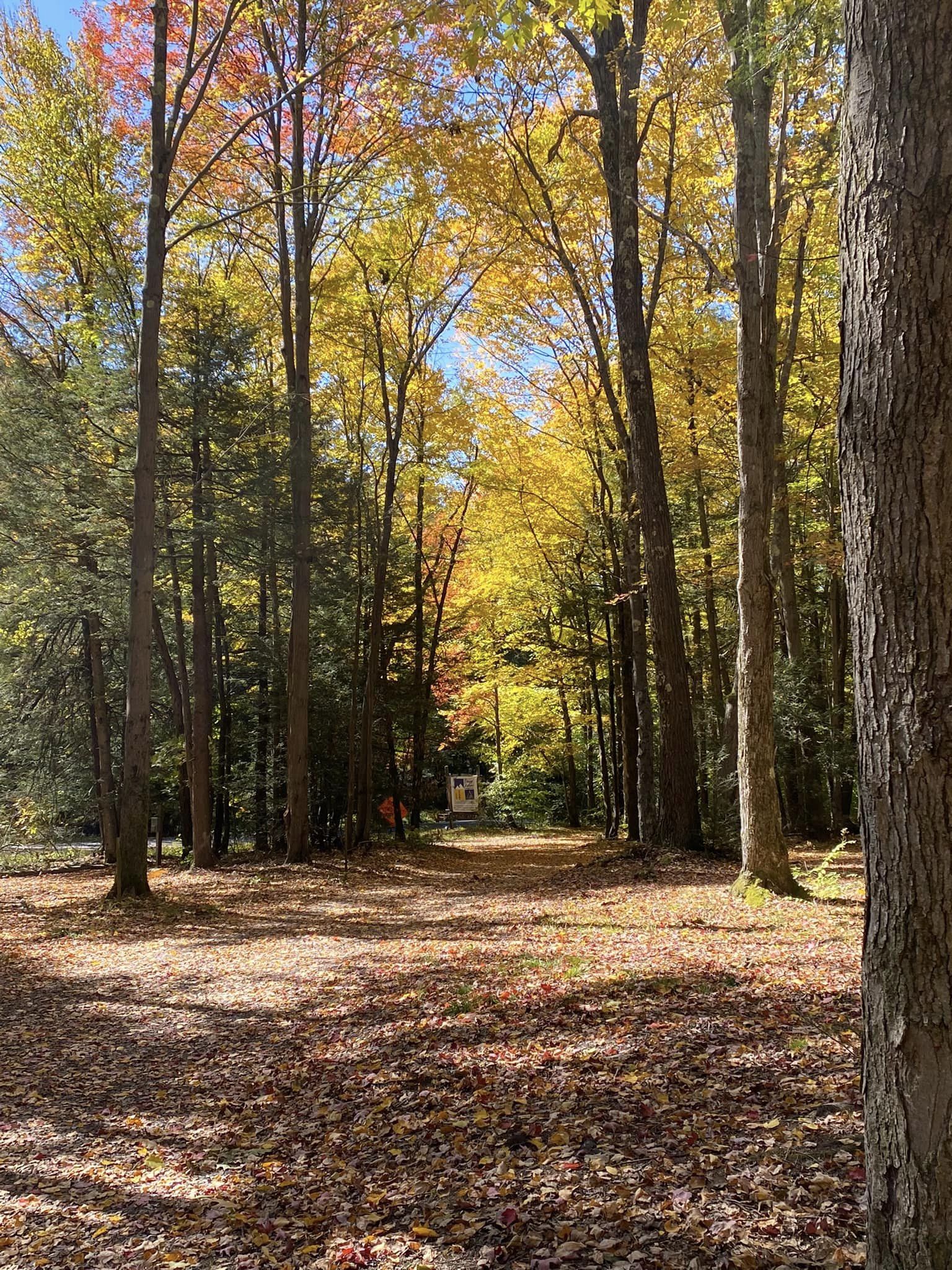 Sleepy Hollow Campground