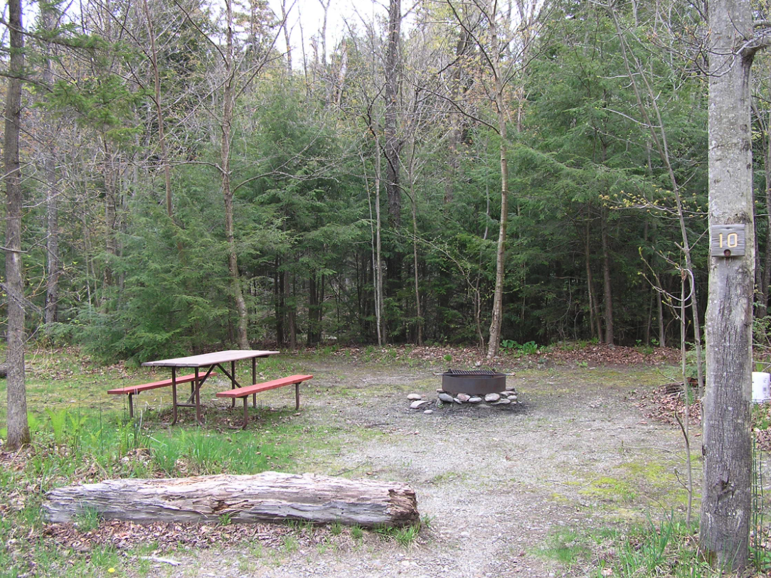 Brewster River Campground