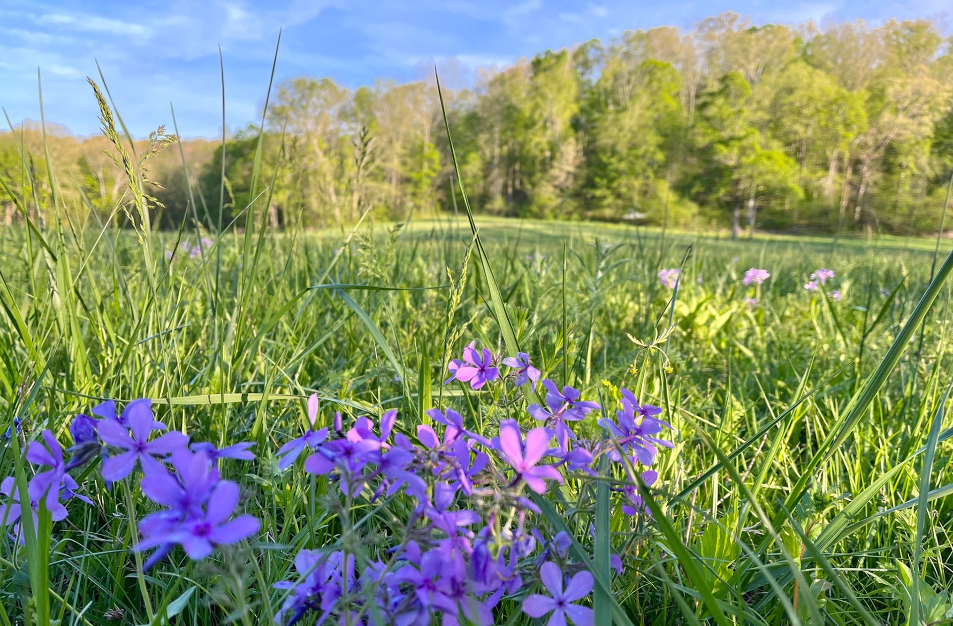 Trails End Ranch Campground, Marquand, Missouri