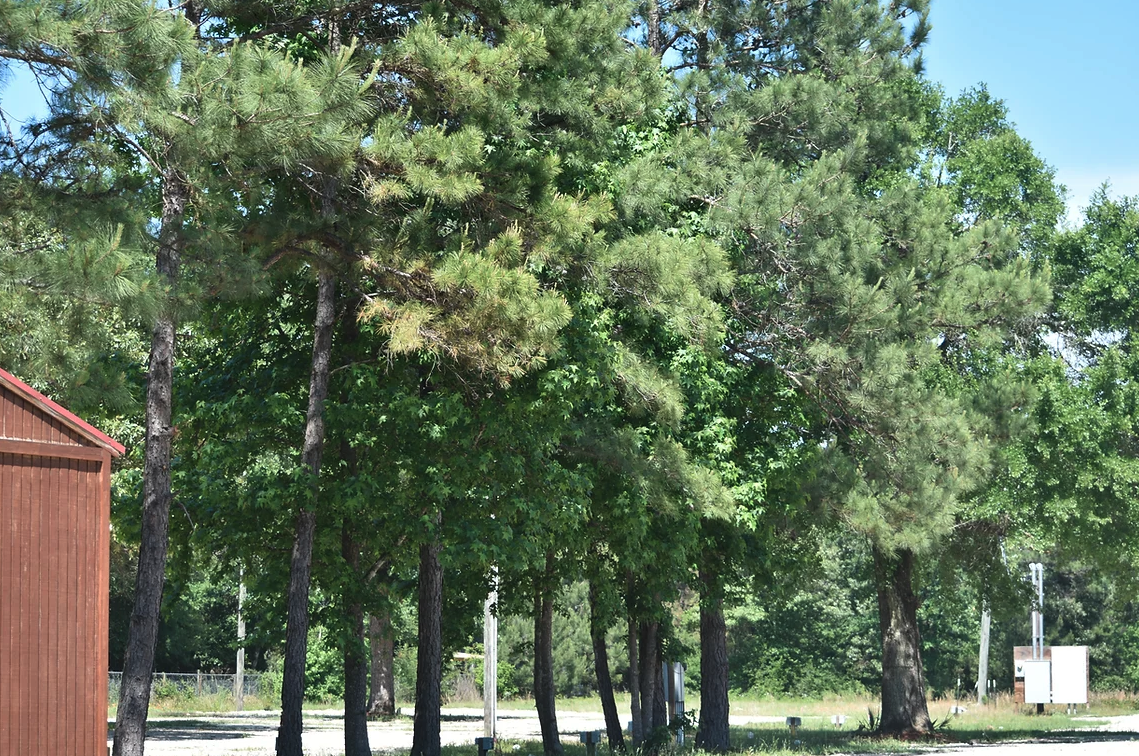 Peaceful Pines RV Park, Conroe, Texas