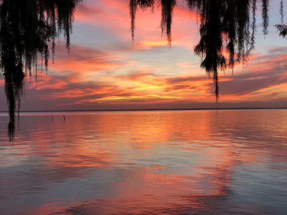 Pine Island RV & Marina, Seville, Florida