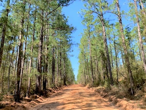 River Farms, Jay, Florida