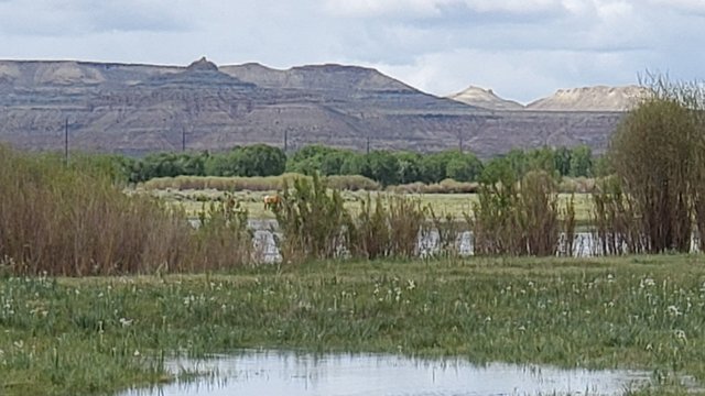 Mountain Bluebird RV Park