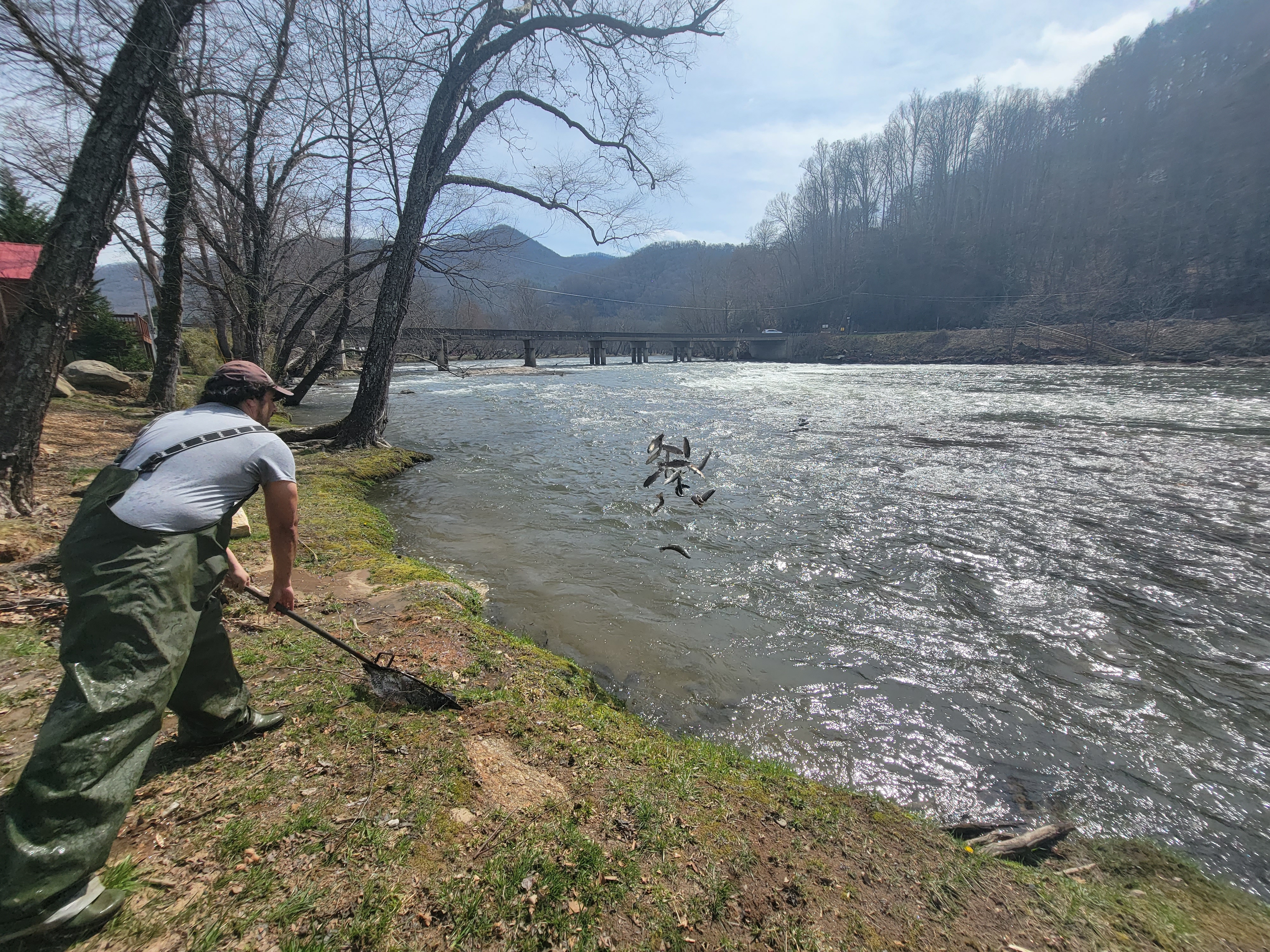 Grumpy Bear RV Park and Campground, Bryson City, North Carolina