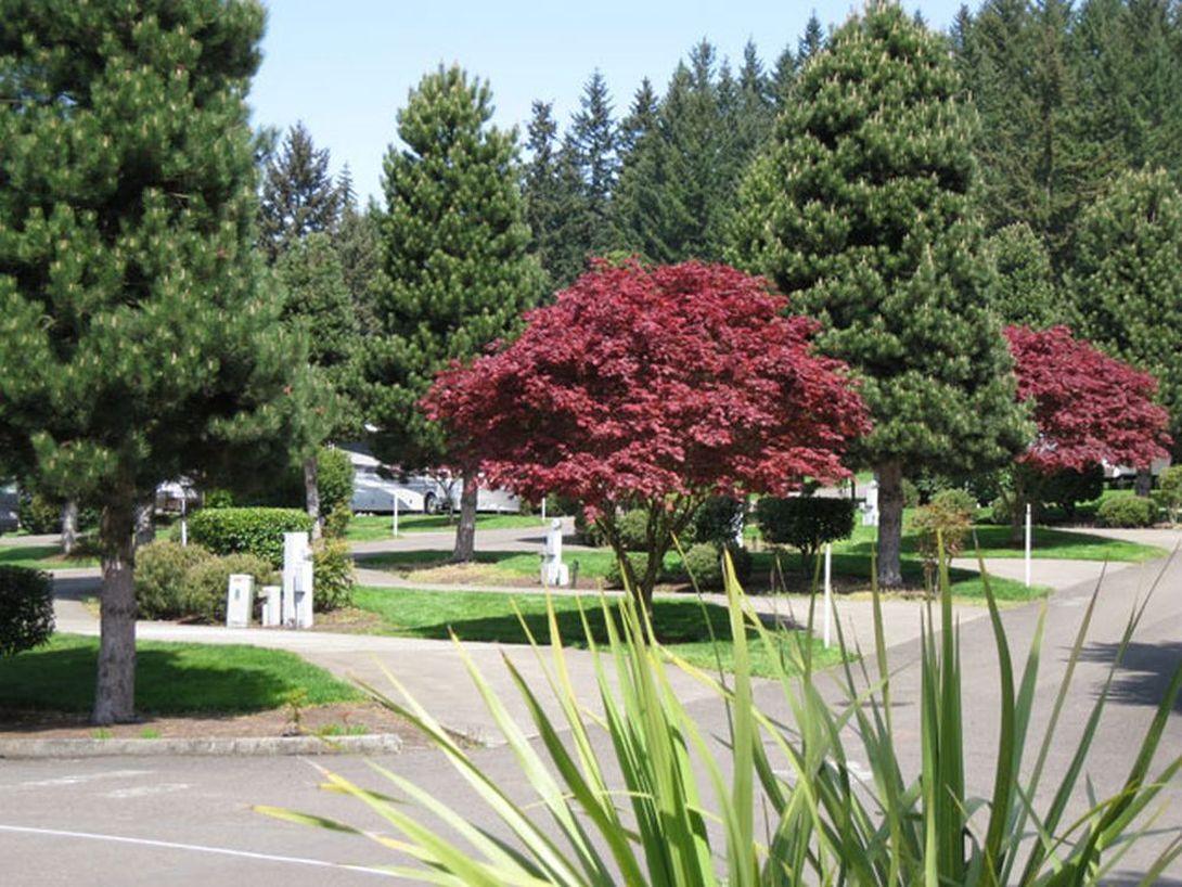 Sun Outdoors Portland South