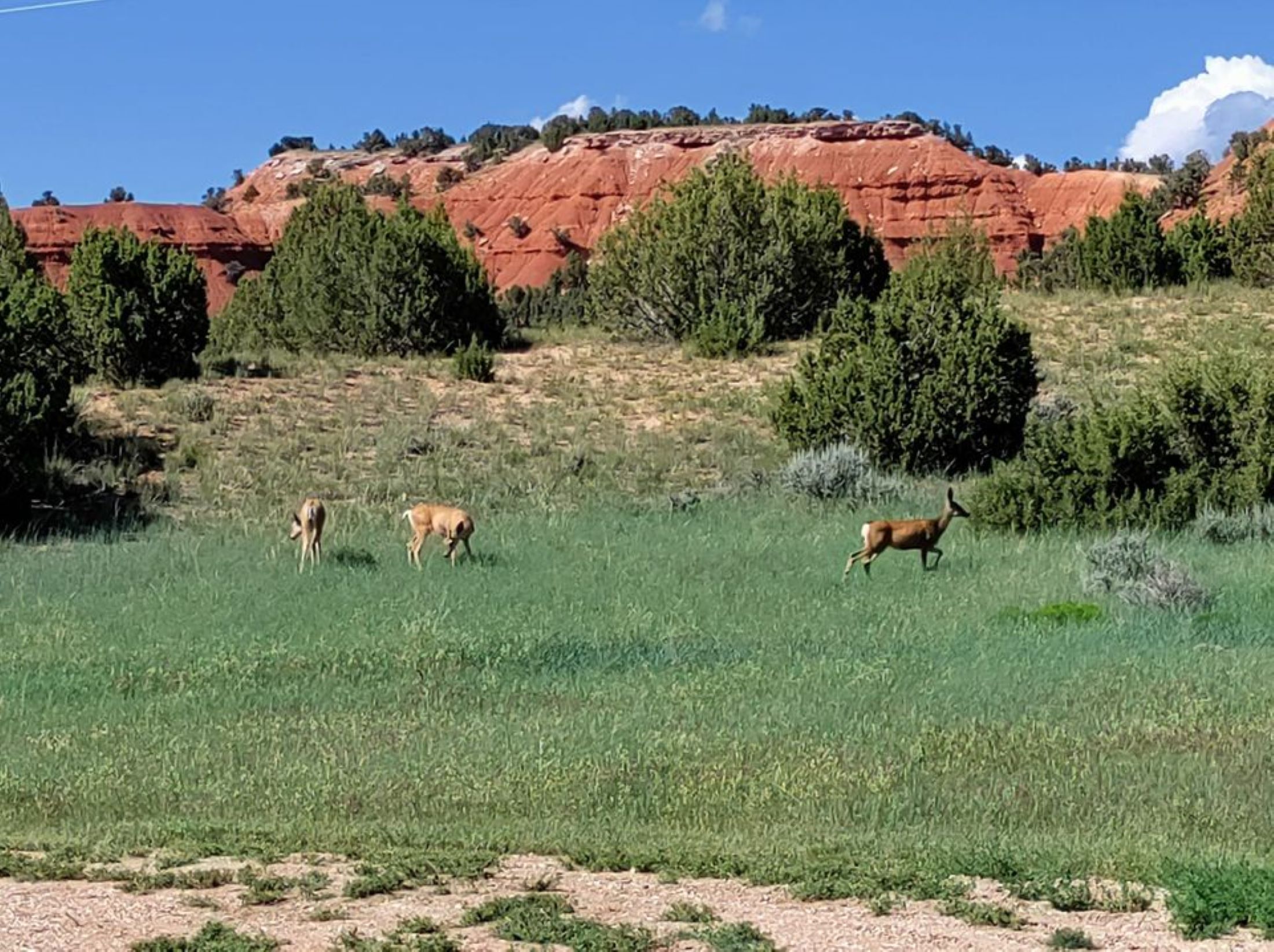 Hideyhole RV, Ten Sleep, Wyoming