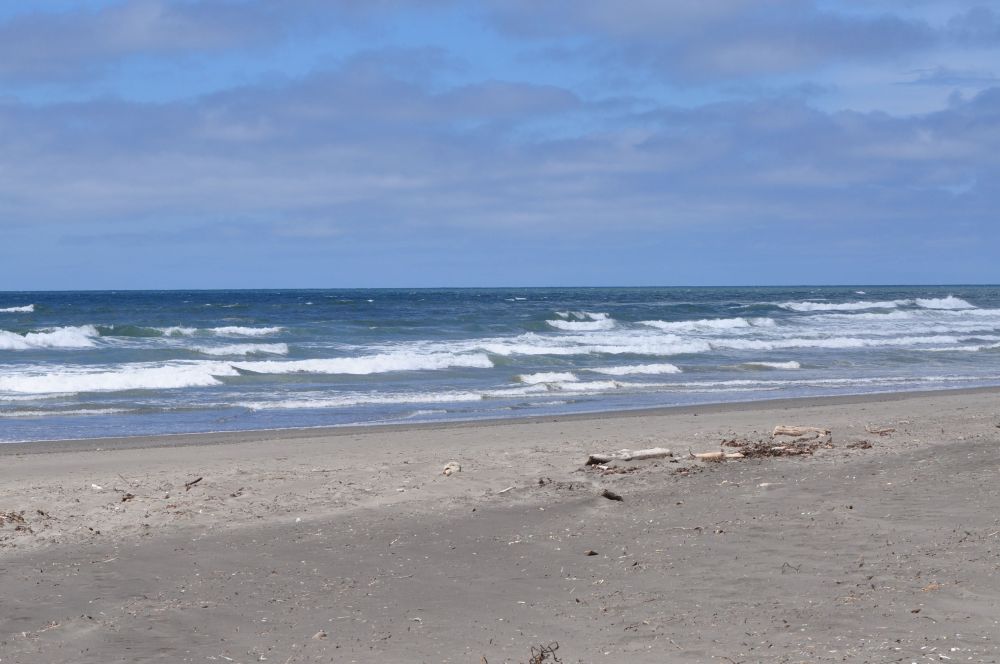 Screamin' Eagle Campground