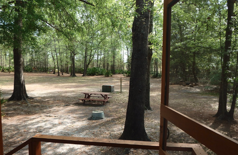 Okefenokee Pastimes Cabins & Campground