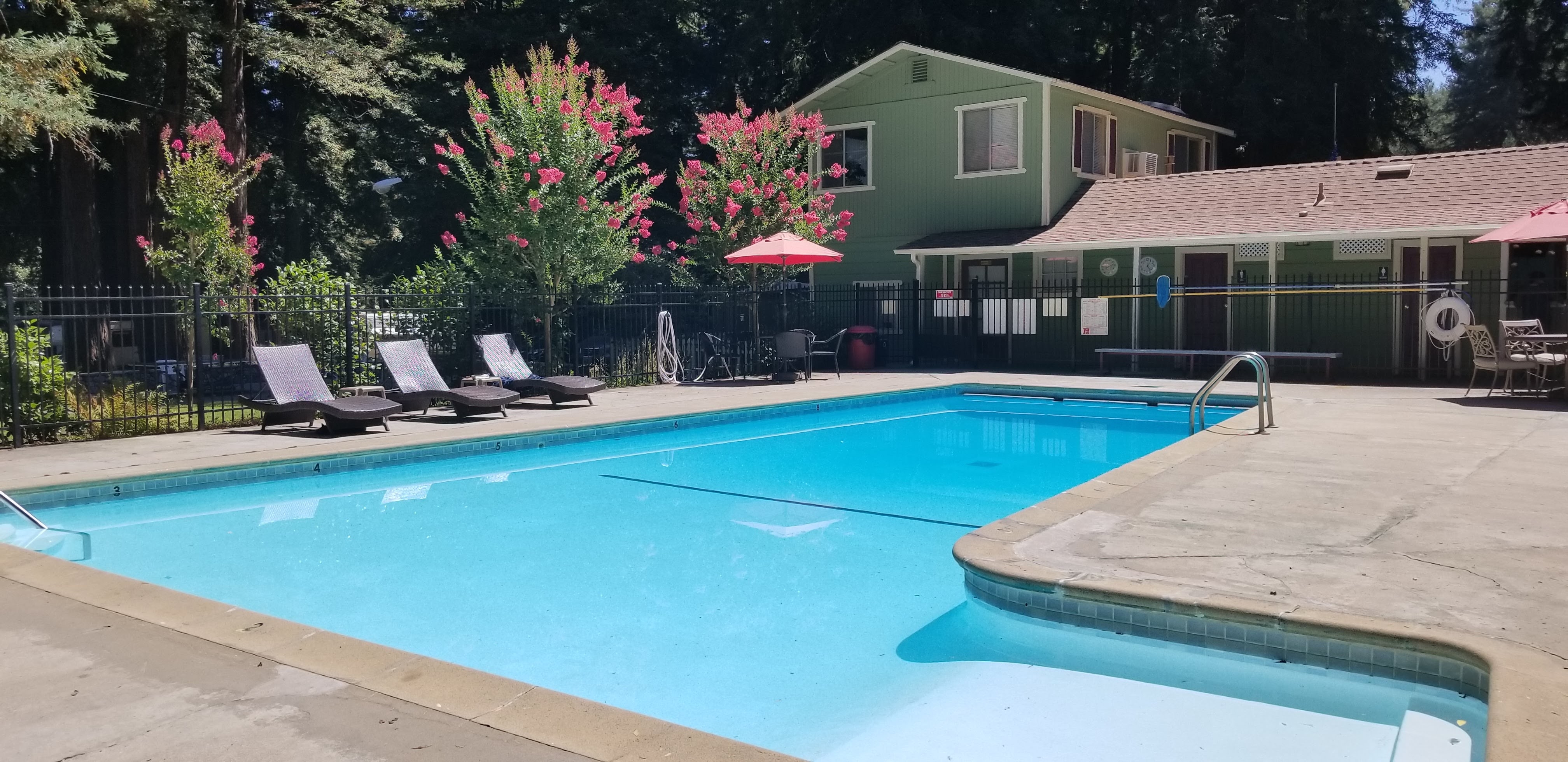 Redwood Resort RV Park and Campground, Boulder Creek, California