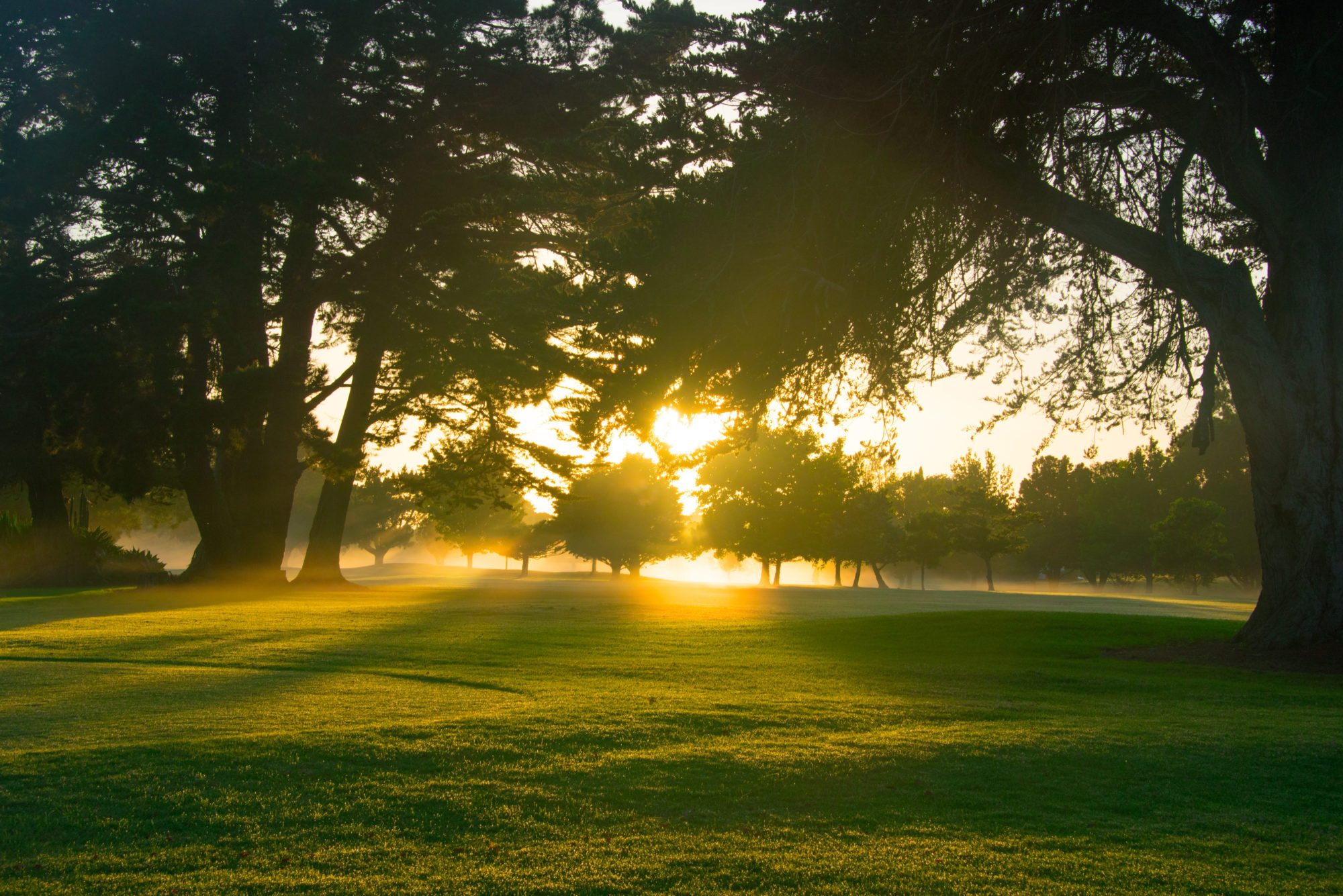 Sun Retreats Ocala Orange Lake