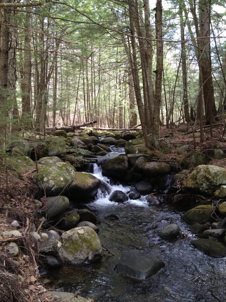 Rancho Pines Campground