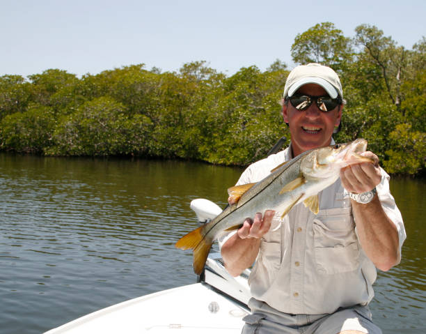 Peace River RV Park, Punta Gorda, Florida
