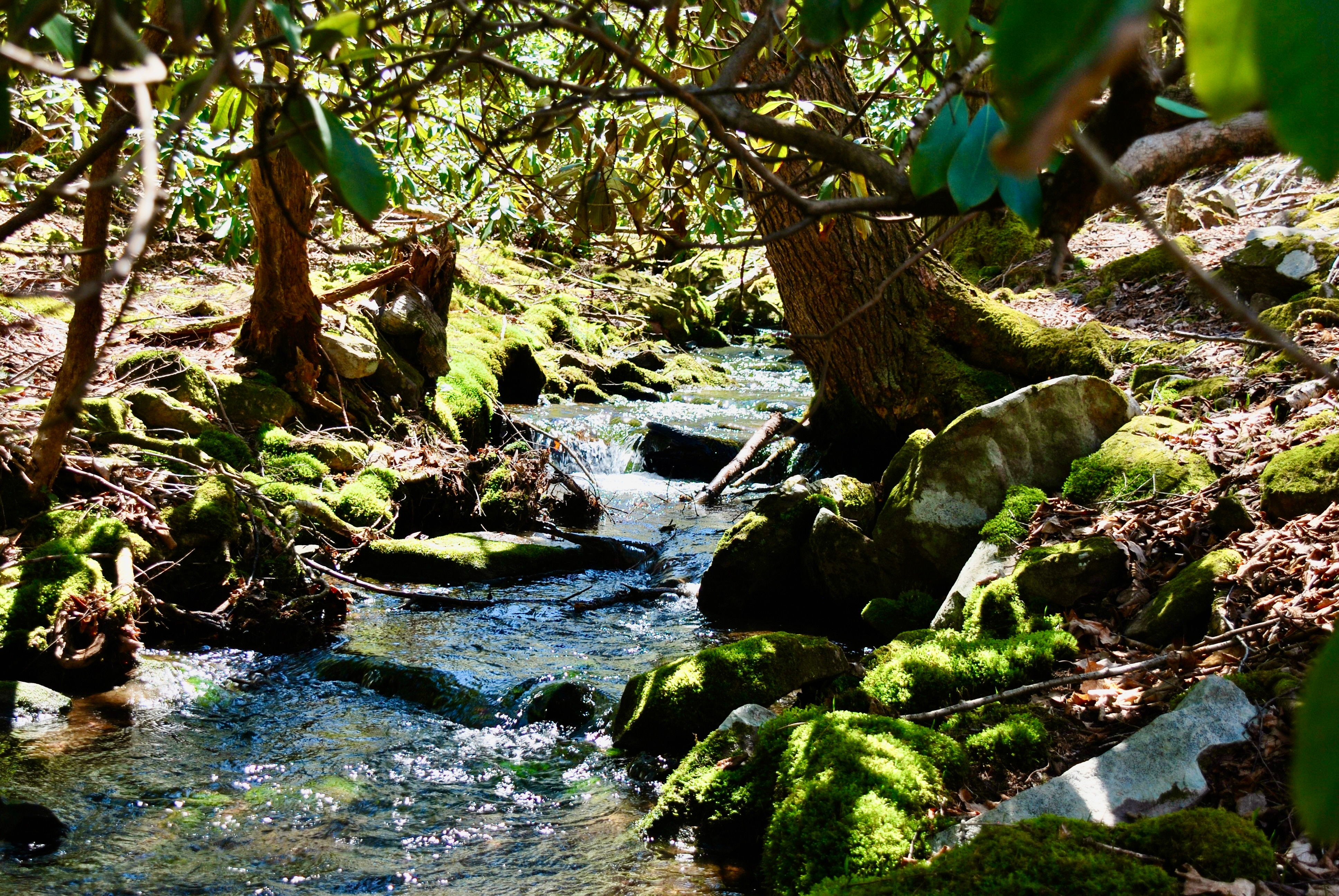 Pocono Camp and Glamp, Jim Thorpe, Pennsylvania