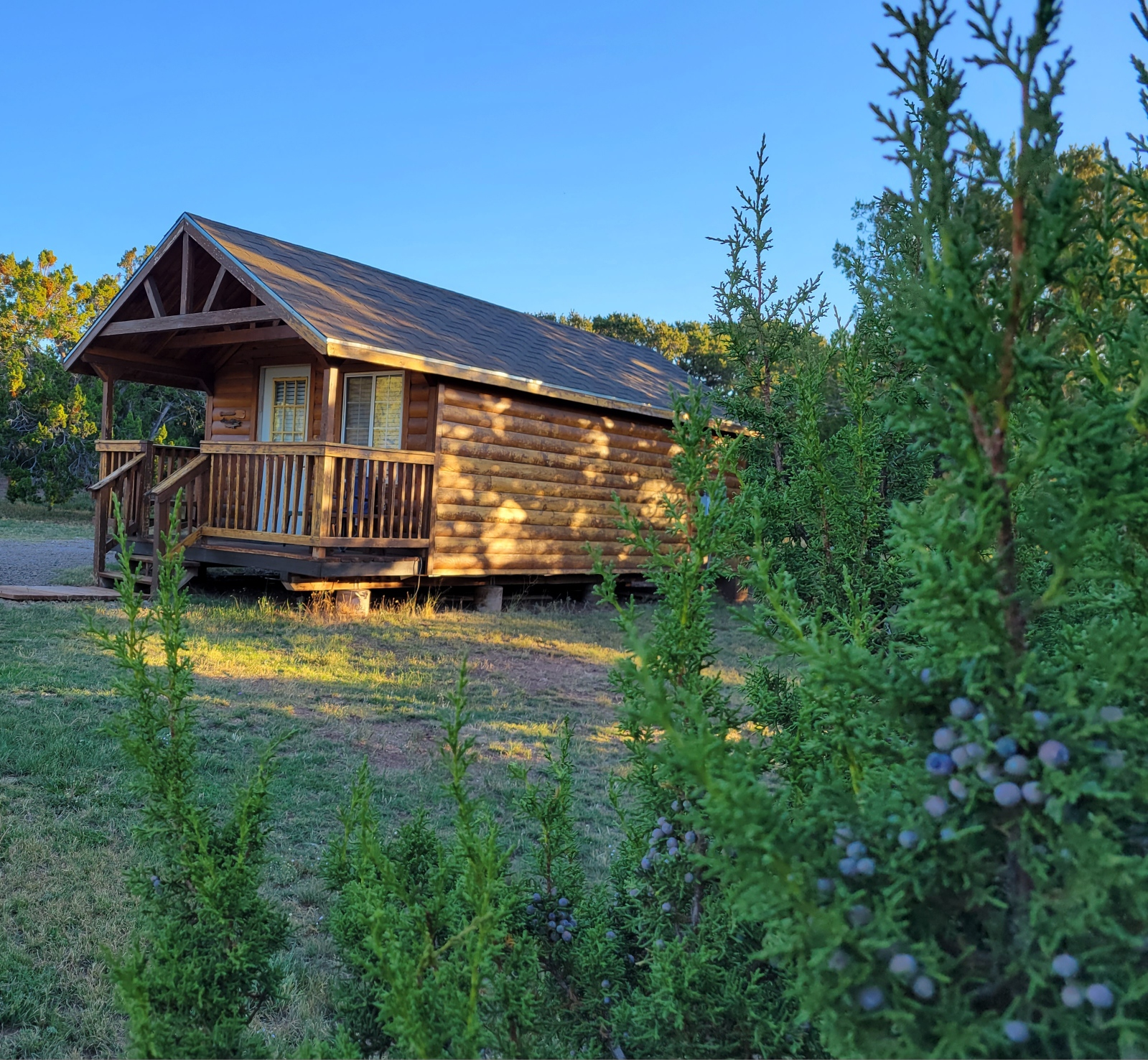 Turquoise Trail Campground & RV Park, Cedar Crest, New Mexico