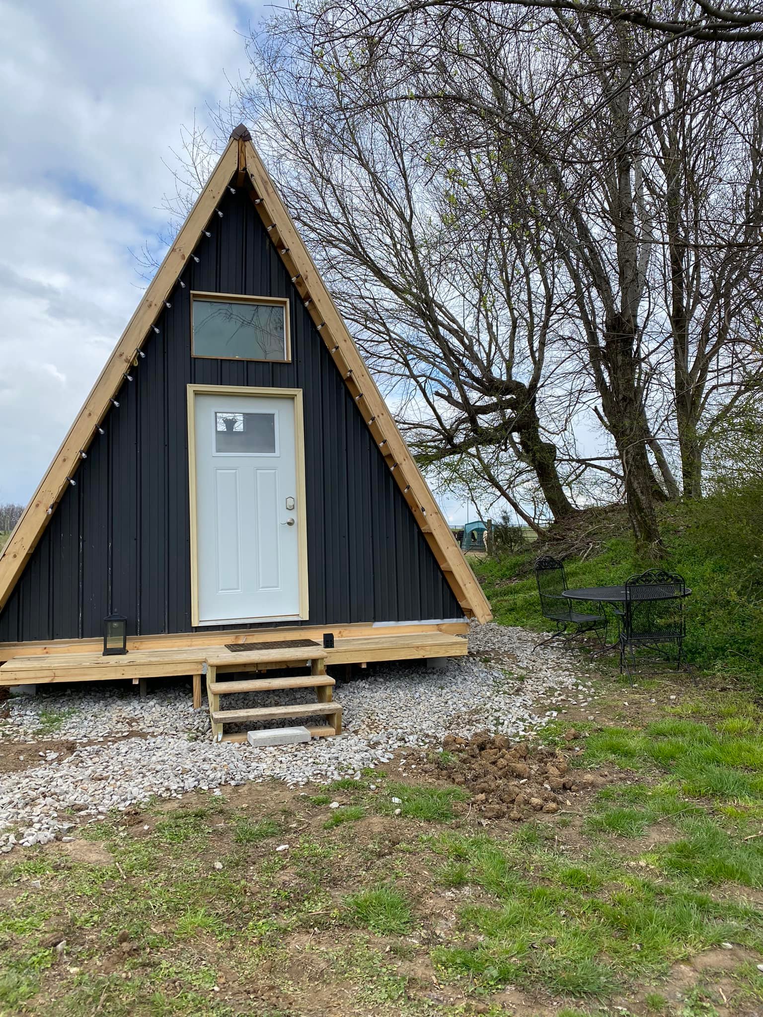 Noble Pine Cabins & Horse Camp