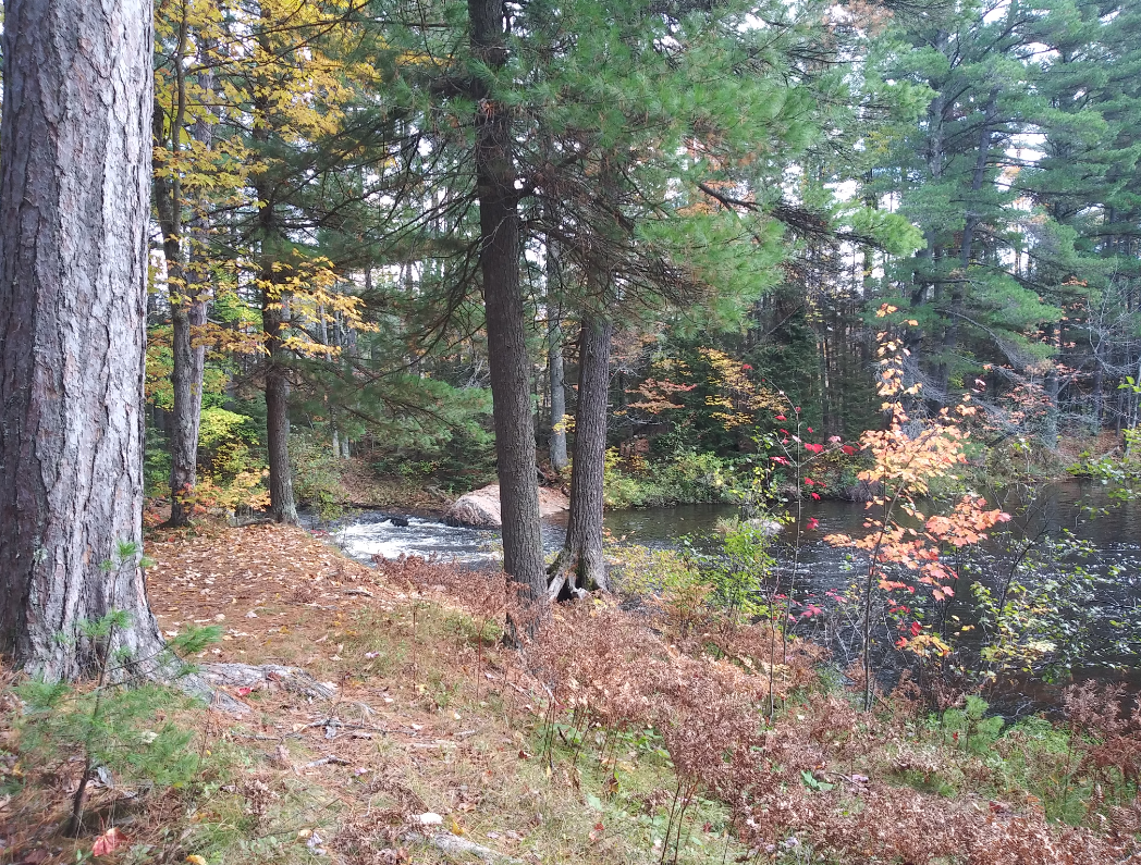 Farquar-Mesta Tourist Park & Campground