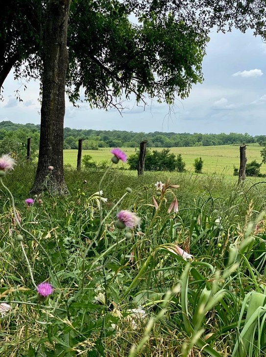 Birthplace of Texas RV Park