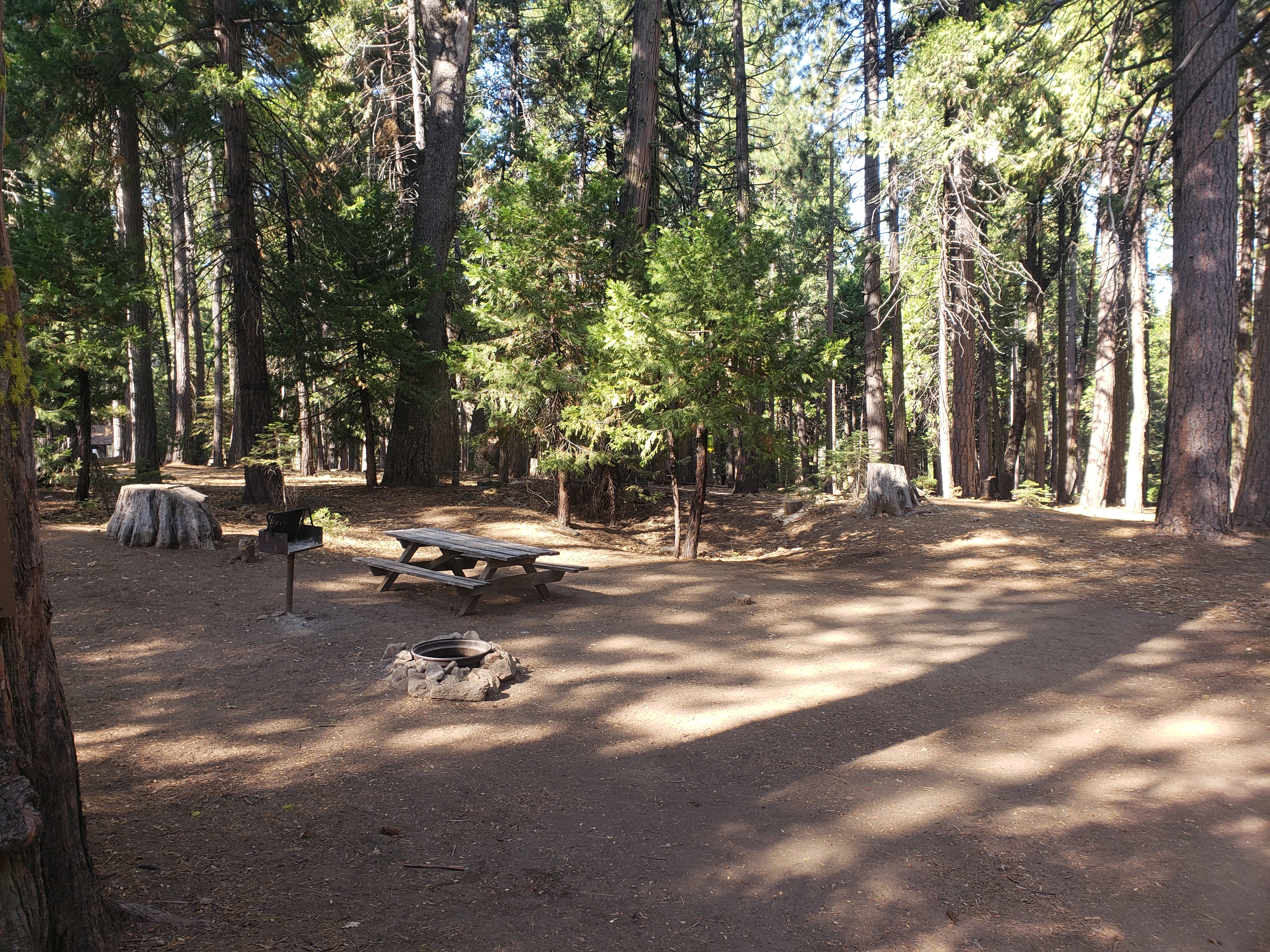 Golden Pines RV Resort, Arnold, California