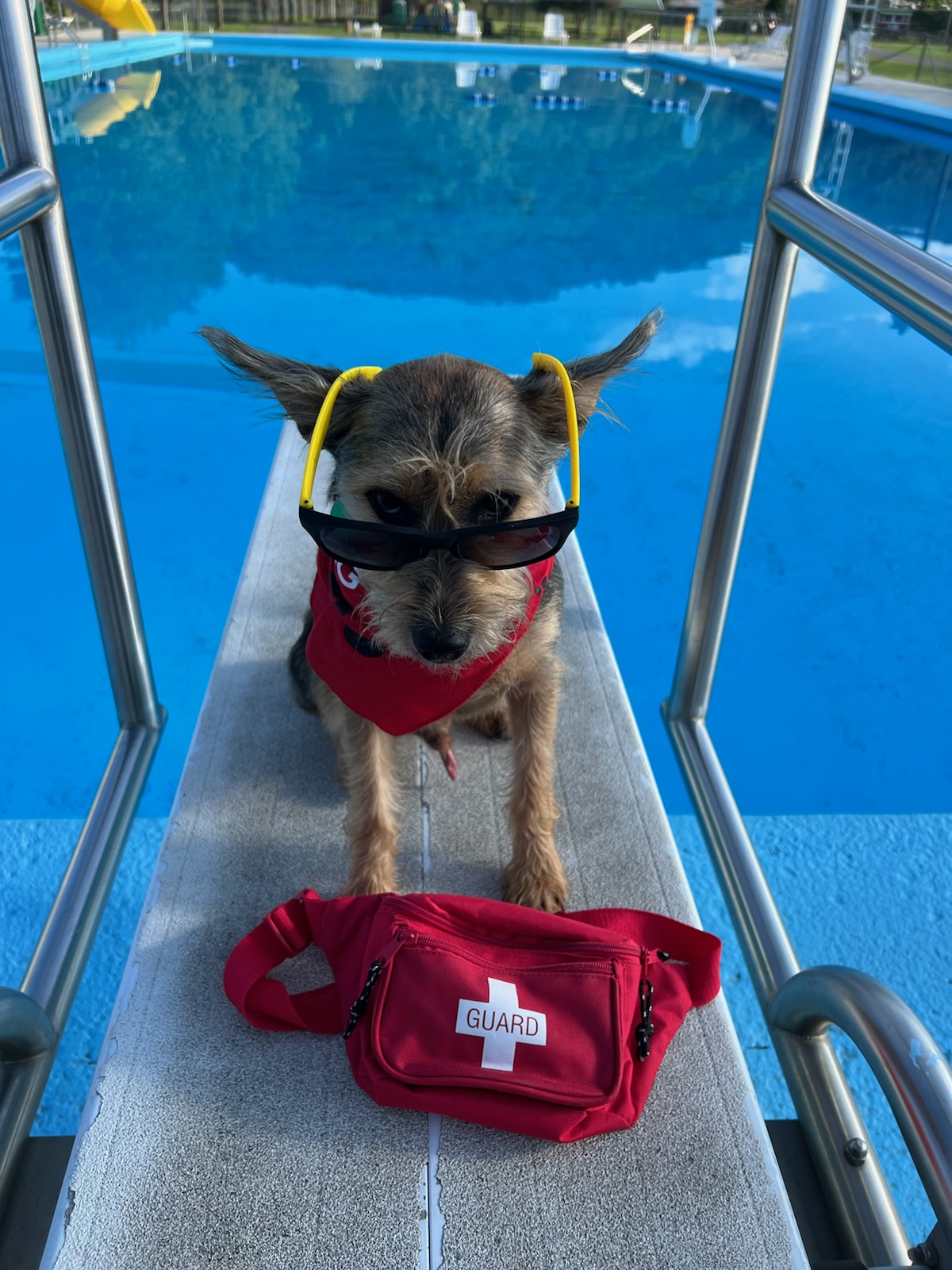 Leeman Field RV Park and Campground, Pennington, Virginia