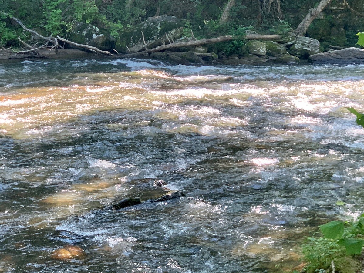 Wilderness Cove Campground