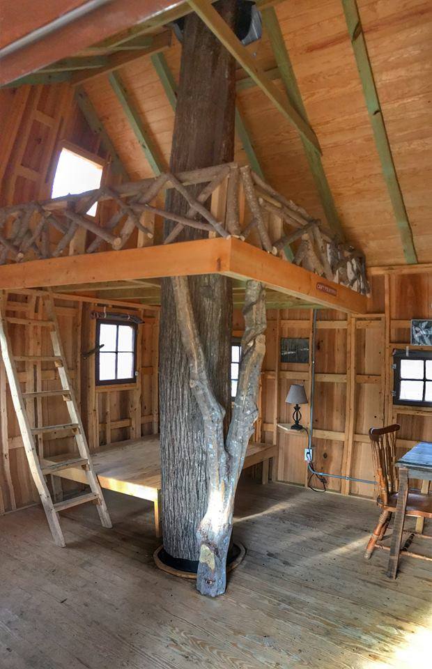 Cashie River Treehouses and Campground