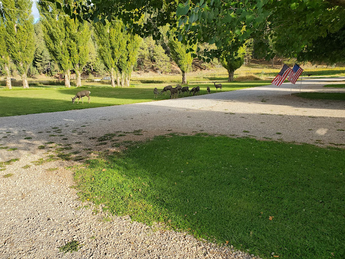 Deer Springs RV Resort, Mayhill, New Mexico