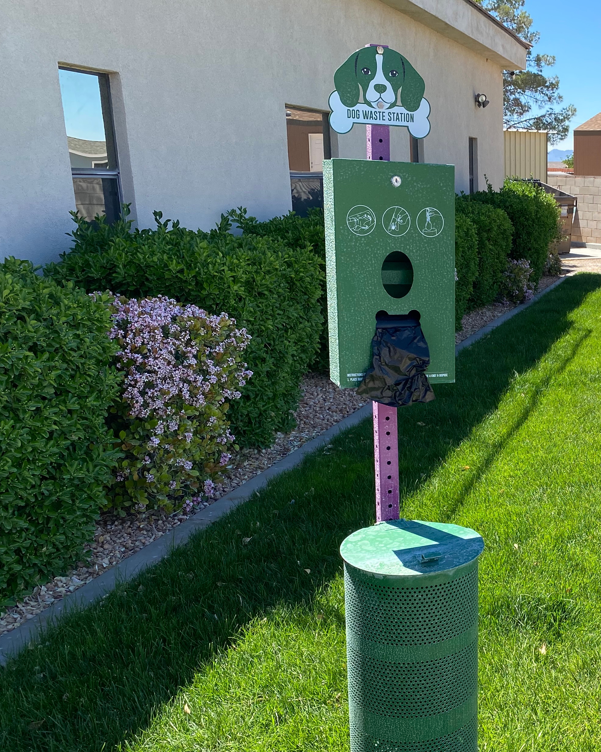 Desert Springs RV Resort, Littlefield, Arizona