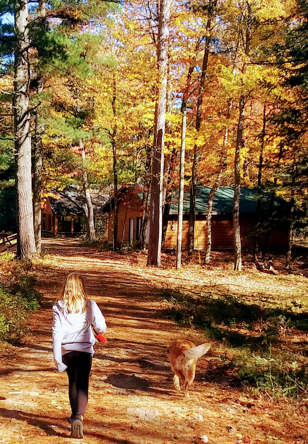 Farquar-Mesta Tourist Park & Campground