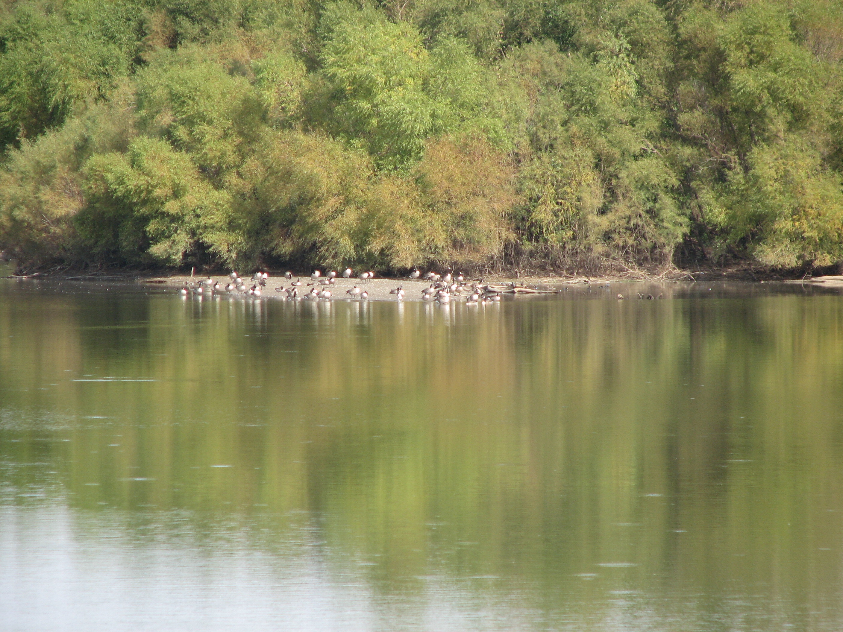 Schildberg Recreation Area Campground