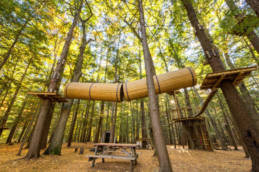 Sun Retreats Wild Acres