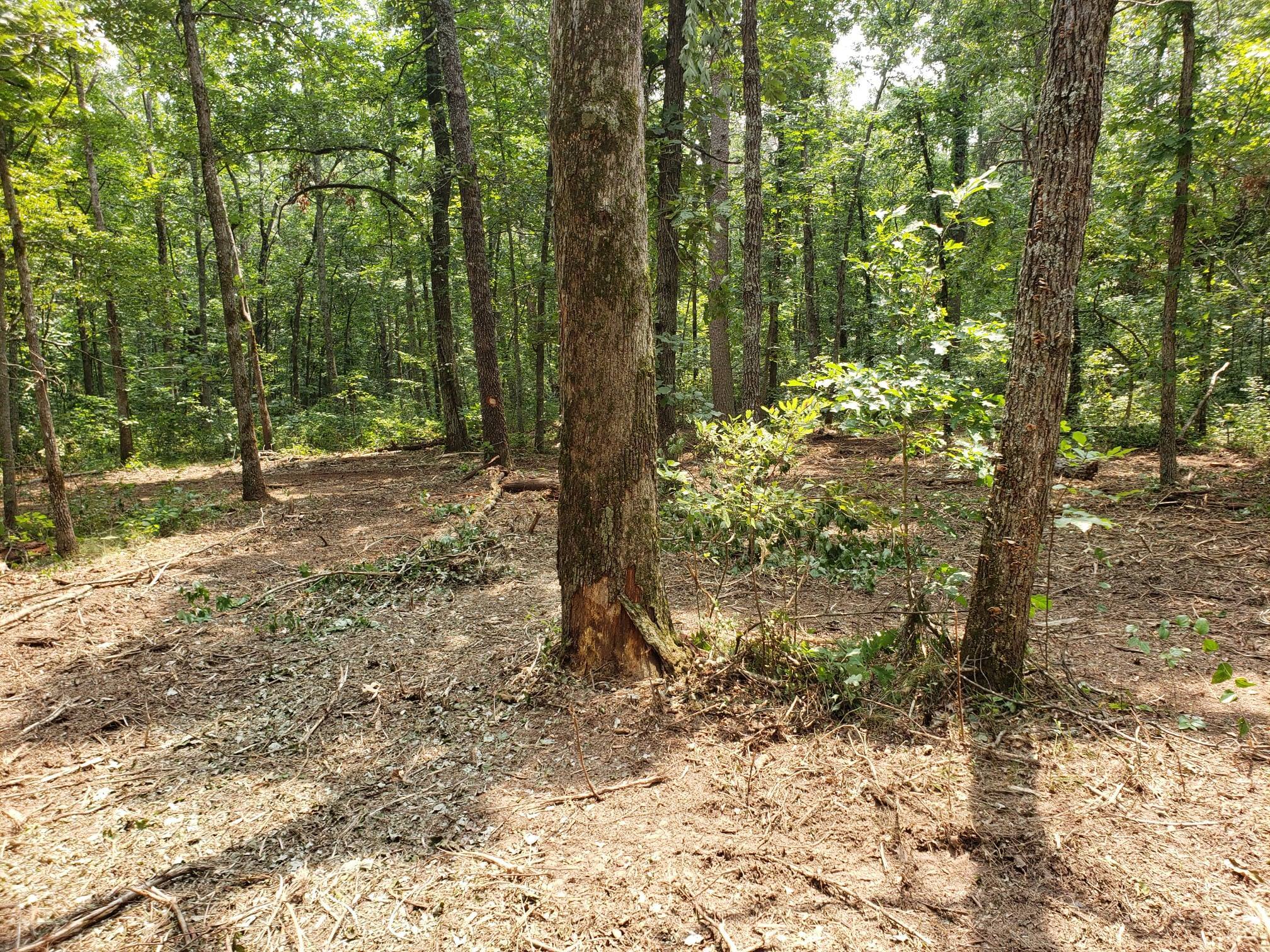 Paradise On The Mountain RV Park