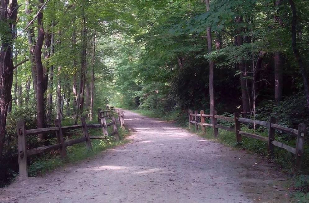 Mountain Pines Campground