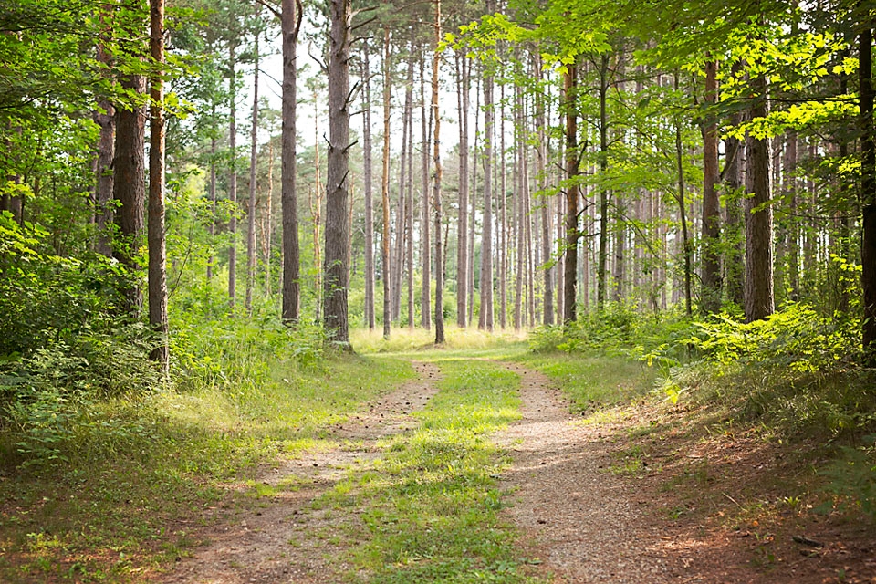 Riverside Park Campground, Evart, Michigan
