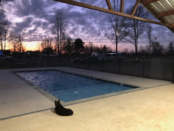 Patriot Escapes RV Resort