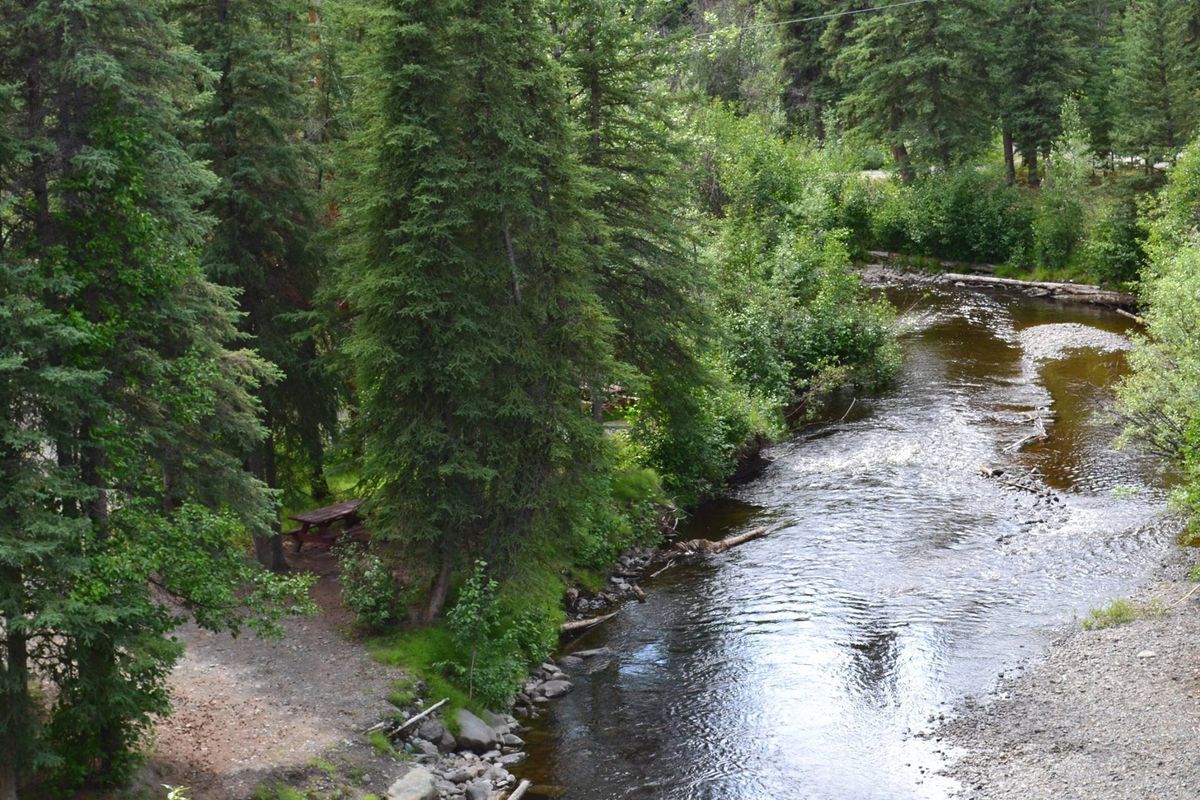 Tolsona Wilderness Campground