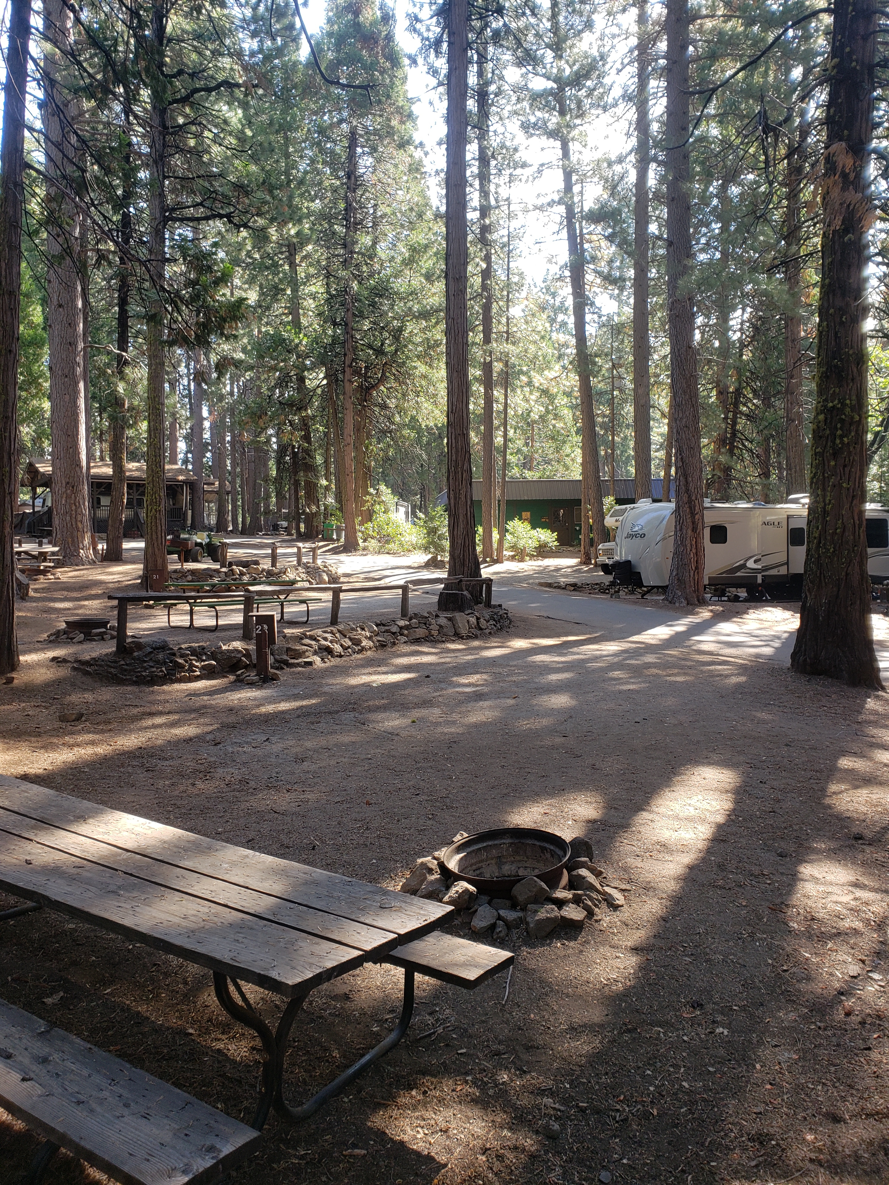 Golden Pines RV Resort, Arnold, California