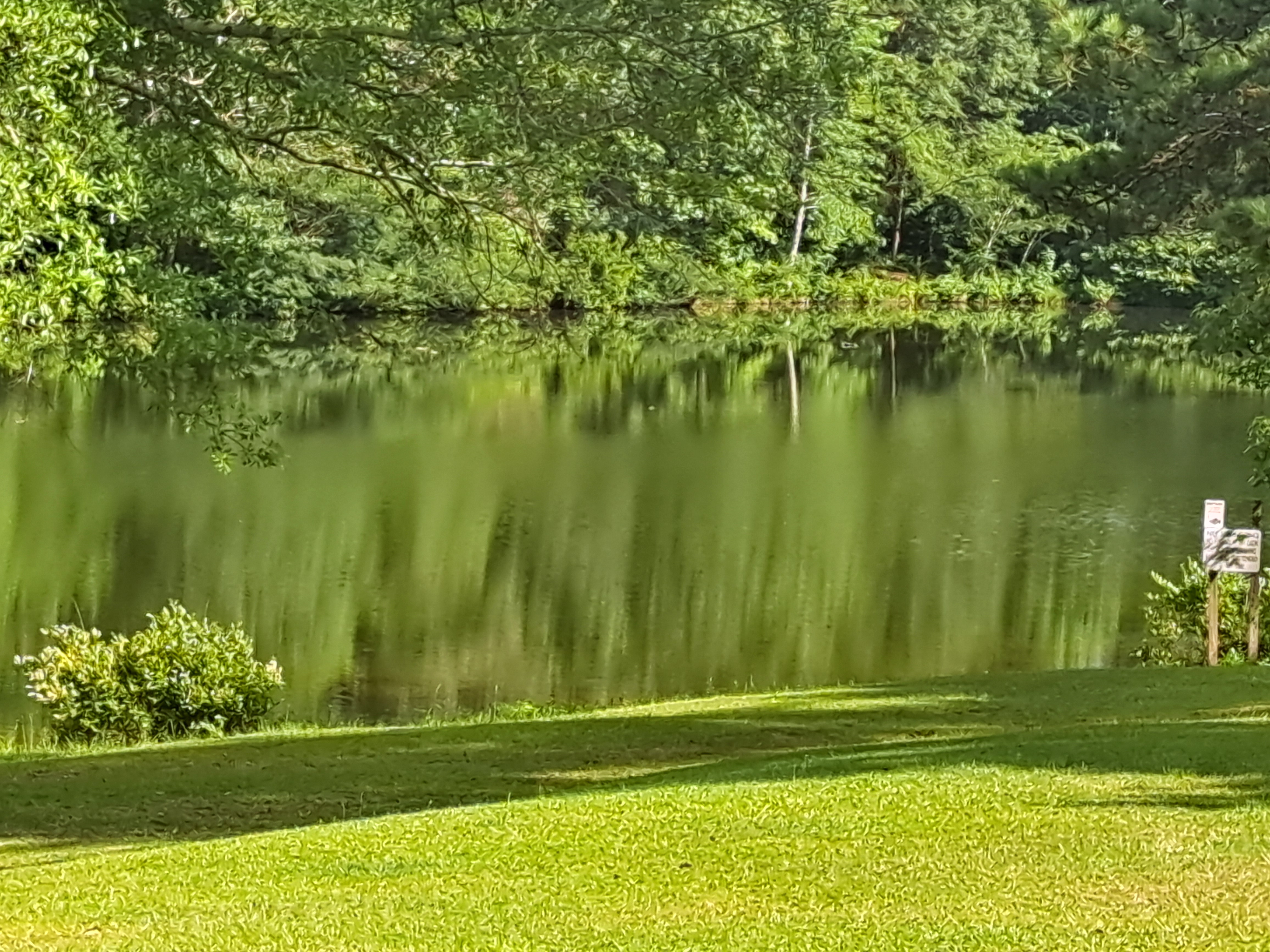 Peach Queen, Jemison, Alabama
