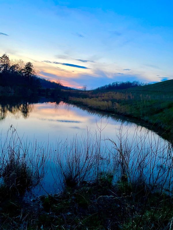 Buffalo Camp and Ride Campground