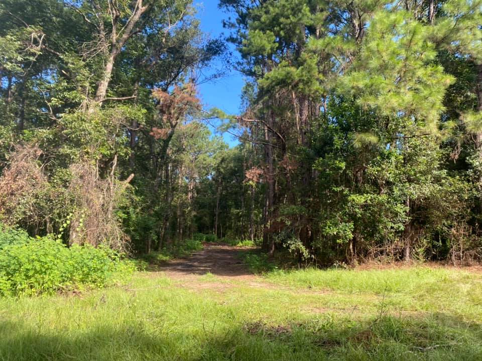 Cross Creek Campground