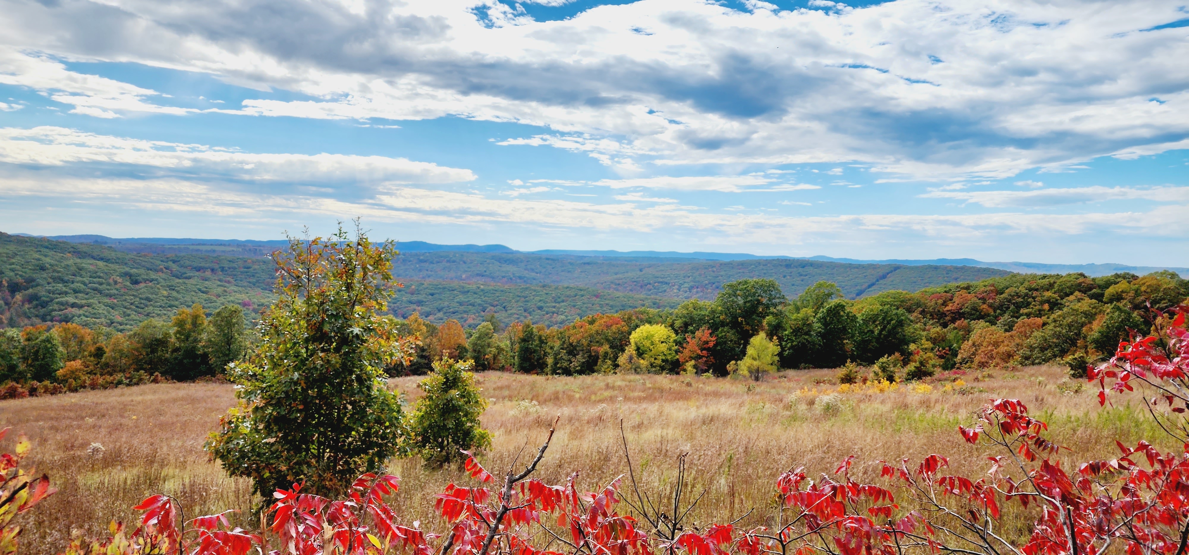 Kecks Creek Crossing, Witter, Arkansas