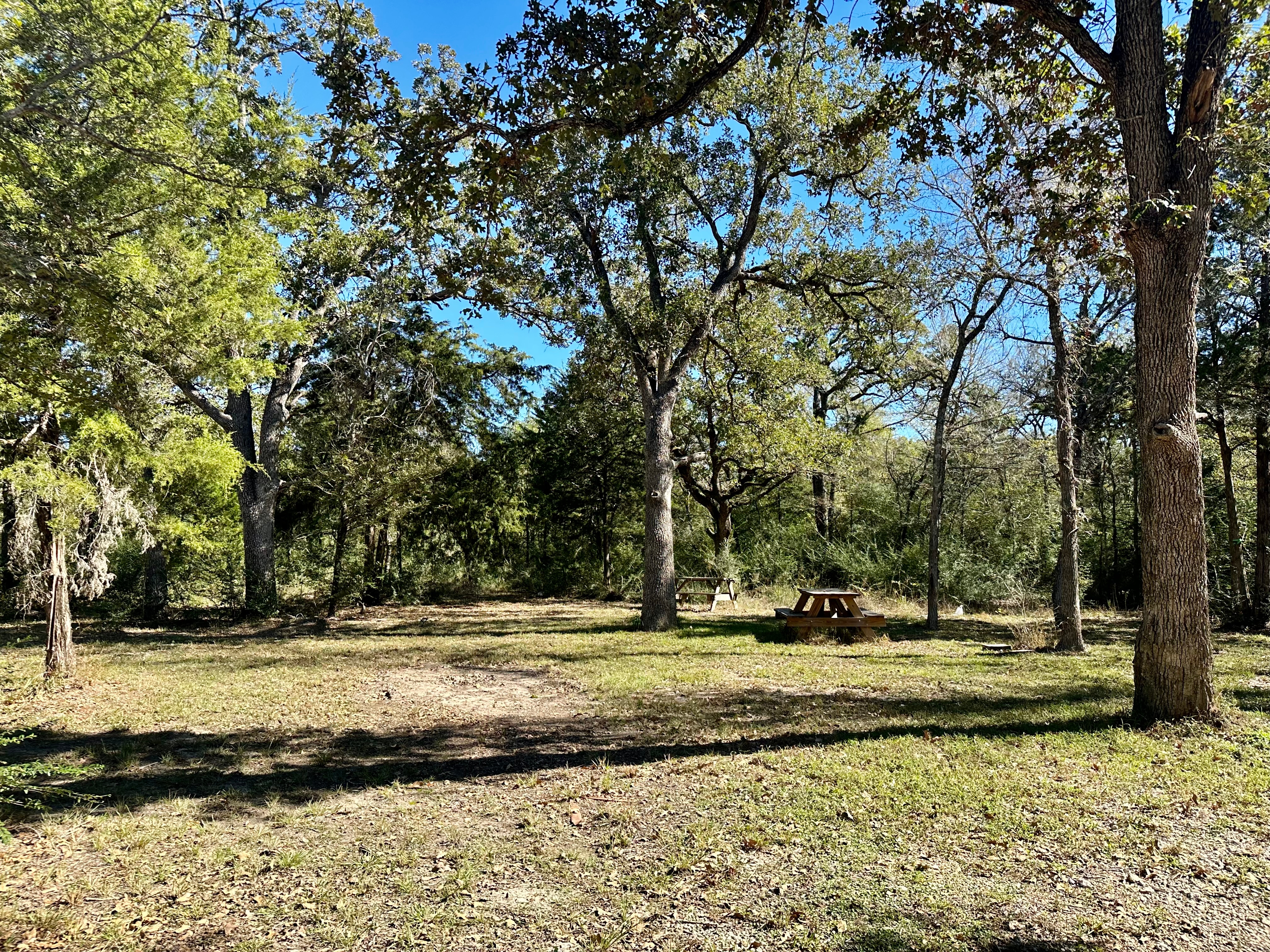 Jones Road RV Park, Bryan, Texas