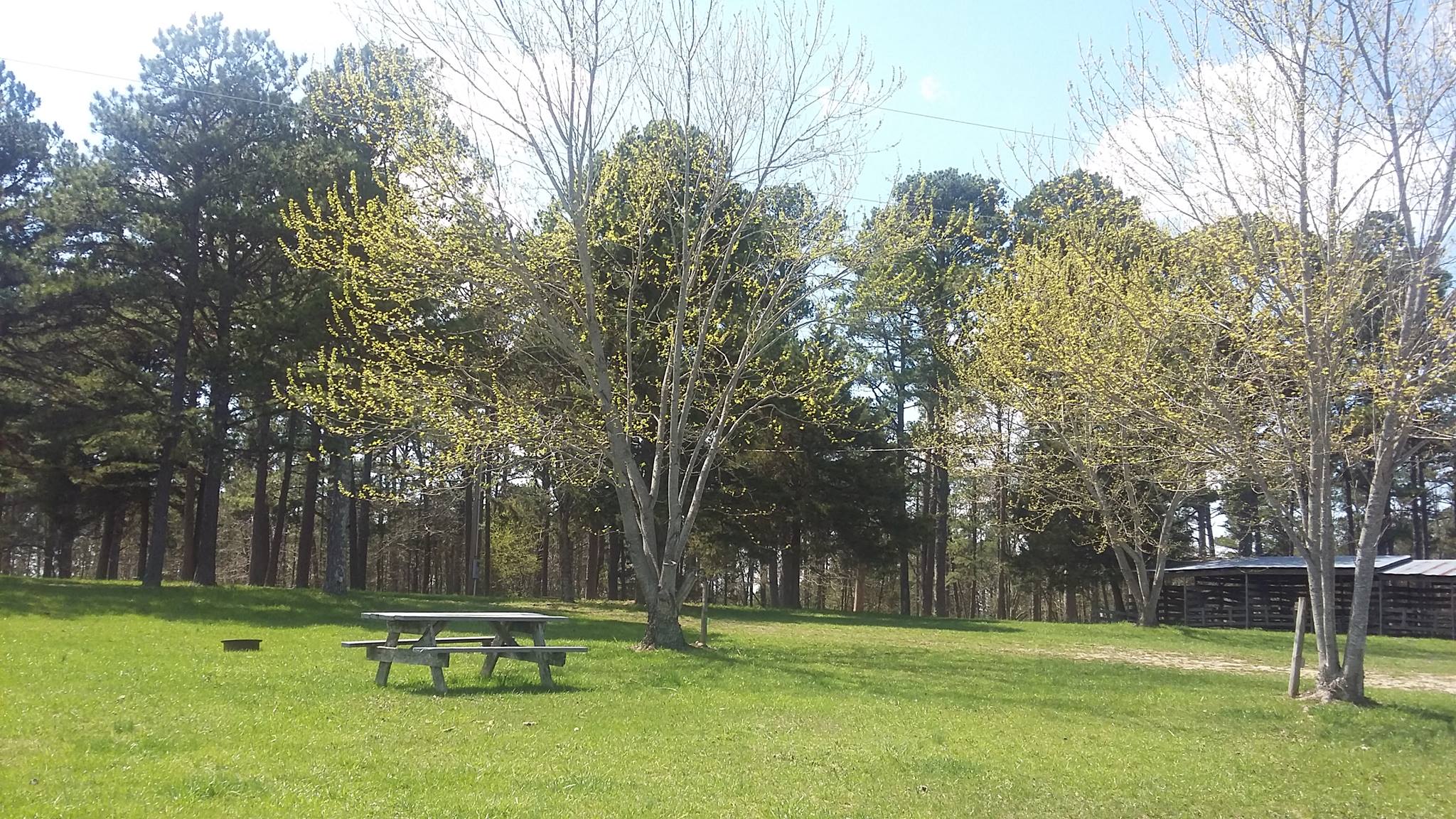 Whispering Pines Campground, Jadwin, Missouri