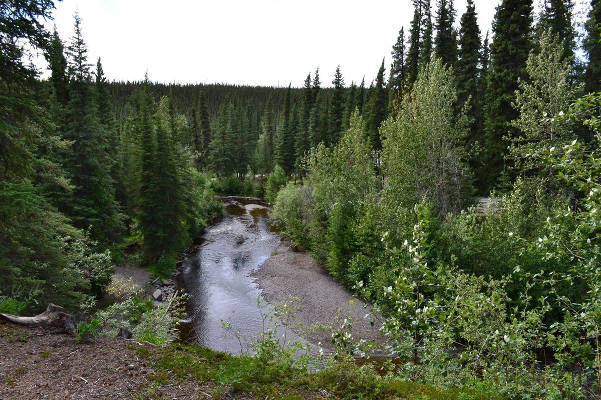 Tolsona Wilderness Campground