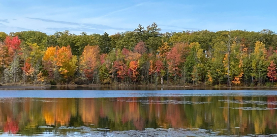 Punch Lake Campground, Arbor Vitae, Wisconsin